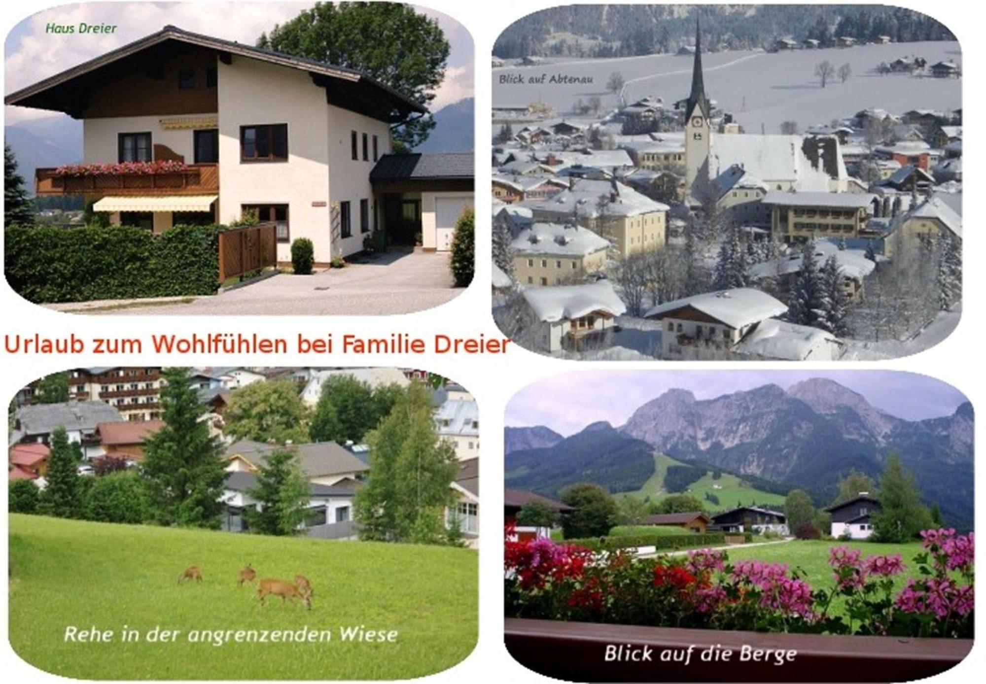Apartment Dreier - Salzburger Land Abtenau Exteriör bild