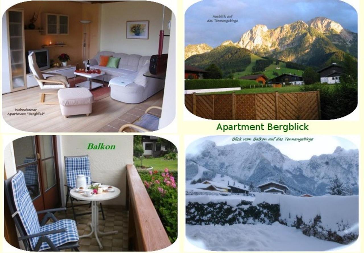 Apartment Dreier - Salzburger Land Abtenau Exteriör bild